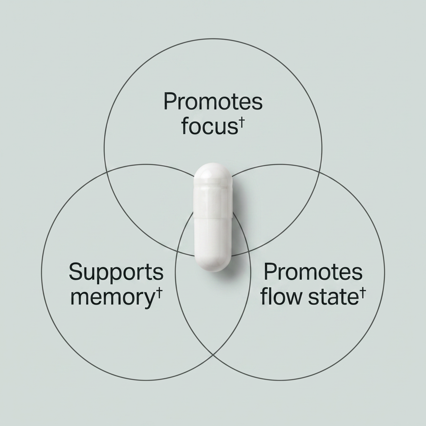 PRIME MODE Advanced Cognitive Performance Formula