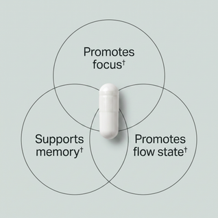 PRIME MODE Advanced Cognitive Performance Formula